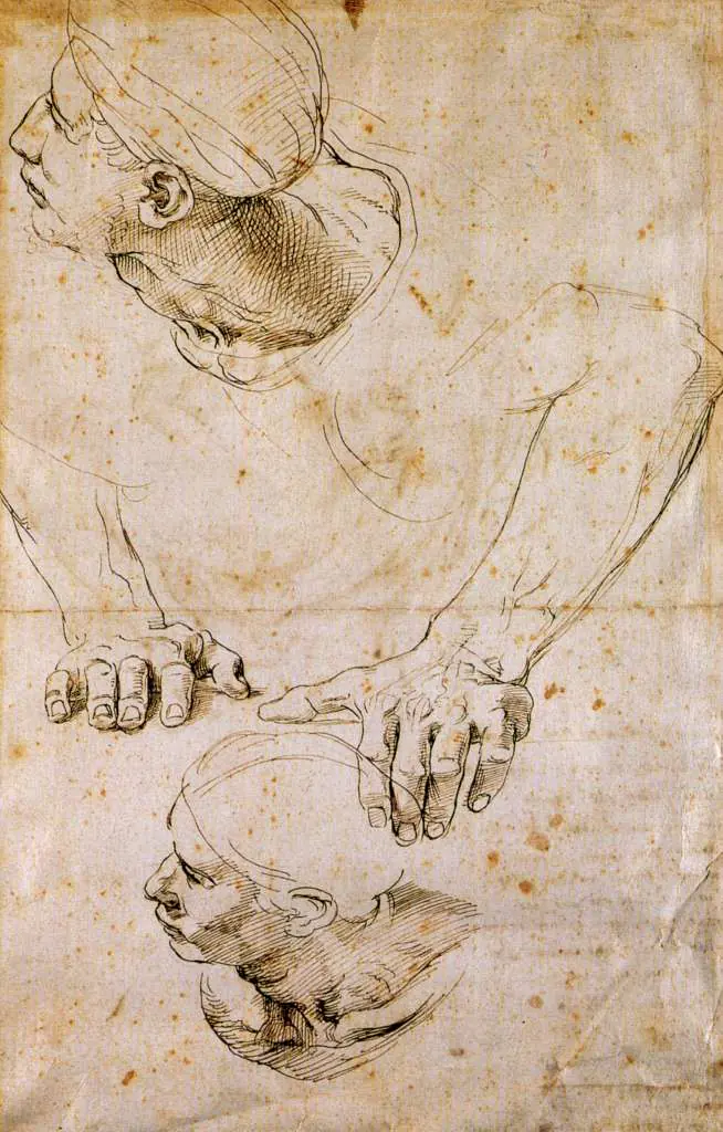 Raphael: Study Head And Hand