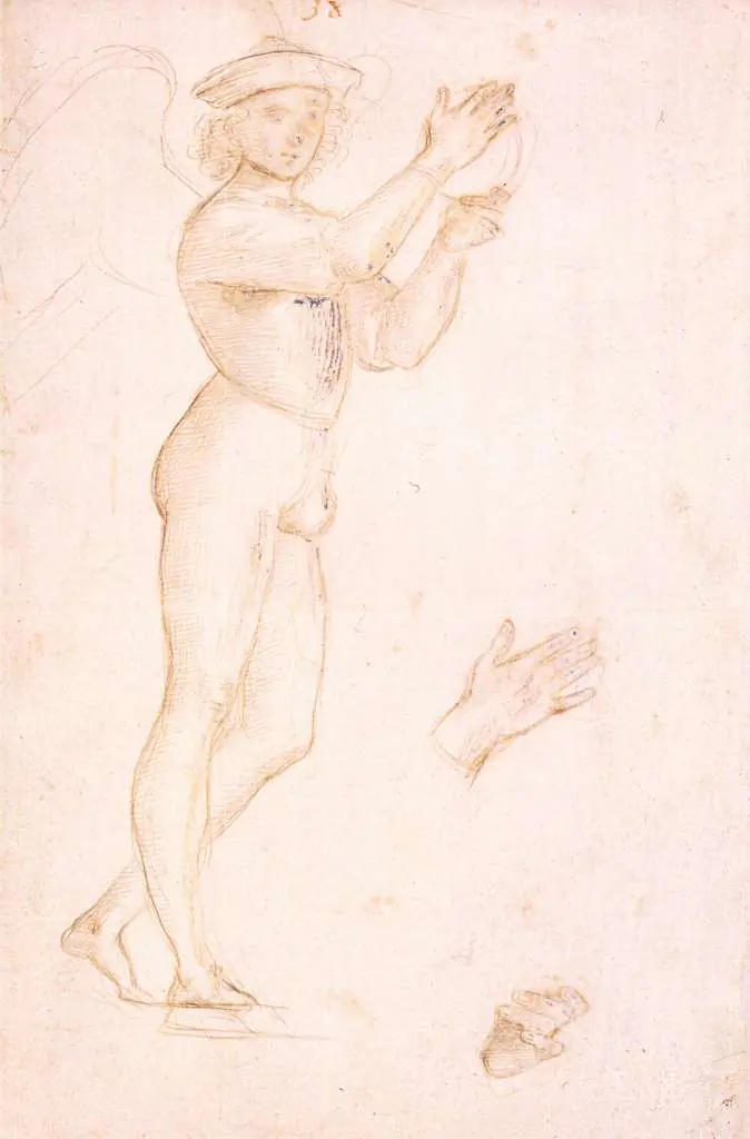 Raphael: Study For Pala Oddi