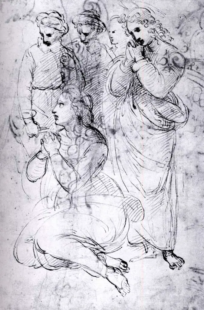 Raphael: Study Sheet5