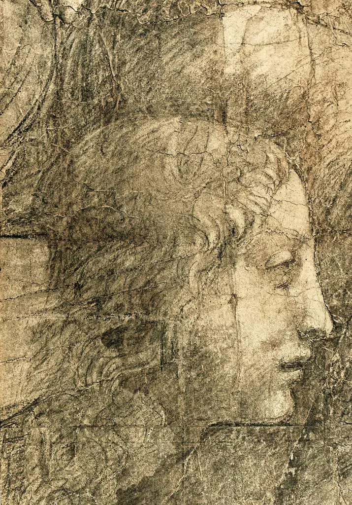 Raphael: The Young Man Near Pythagoras