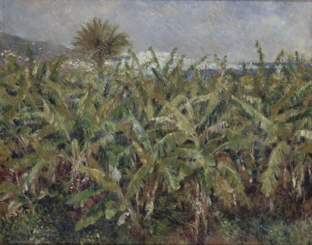 Renoir: Field Of Banana Trees