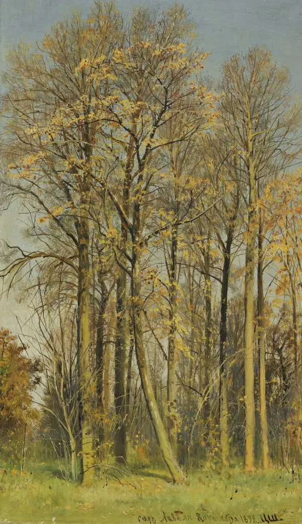 Siskin: Rowan Trees In Autumn