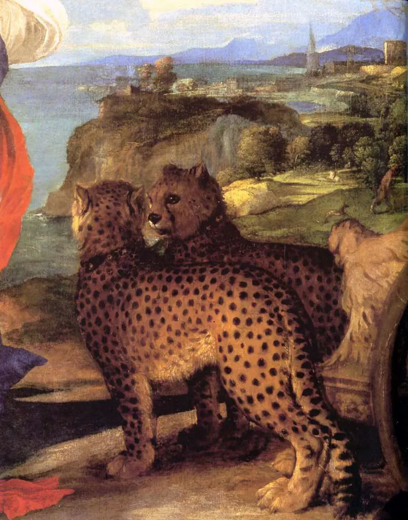 Titian: Bacchus And Ariadne 1522 3 Detail