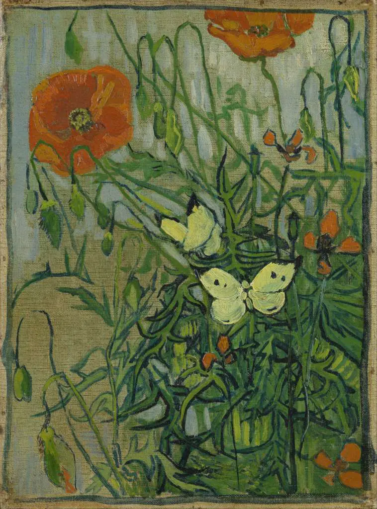 van Gogh: Butterflies And Poppies