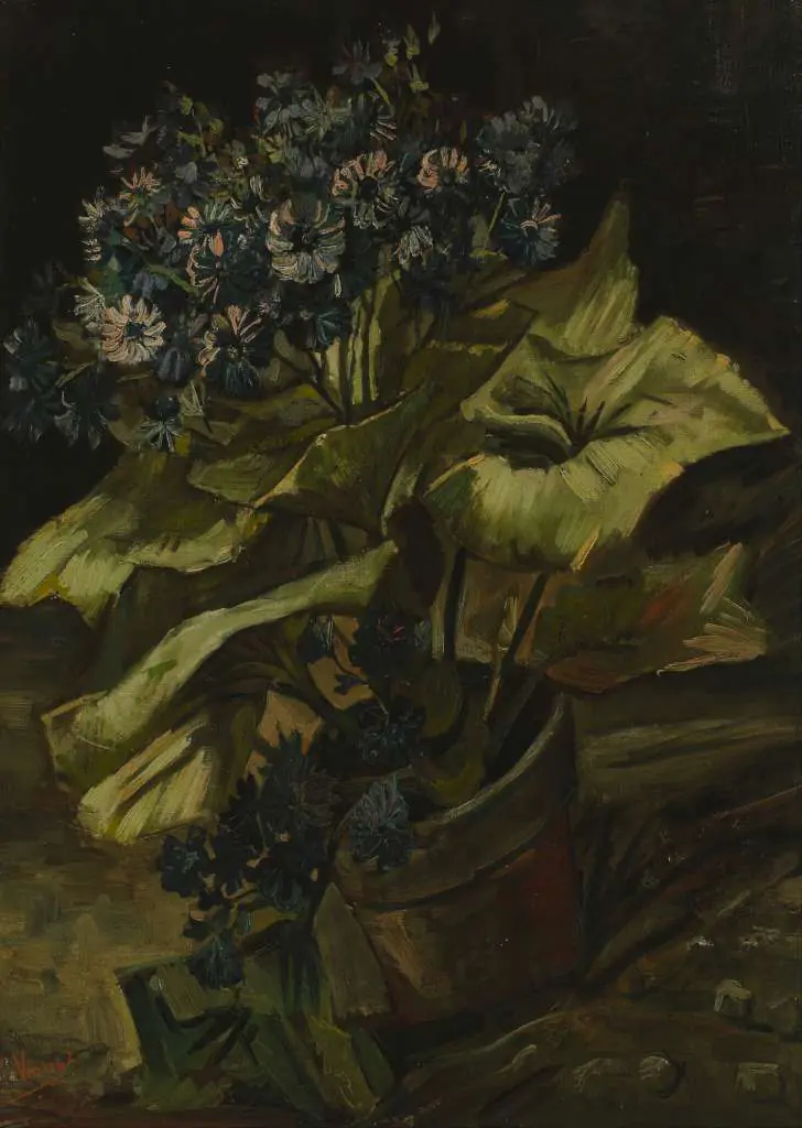 van Gogh: Cineraria
