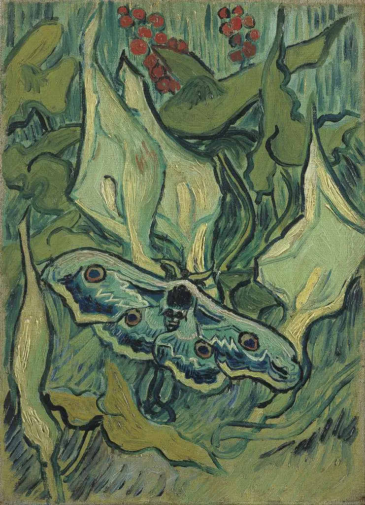 van Gogh: Emperor Moth