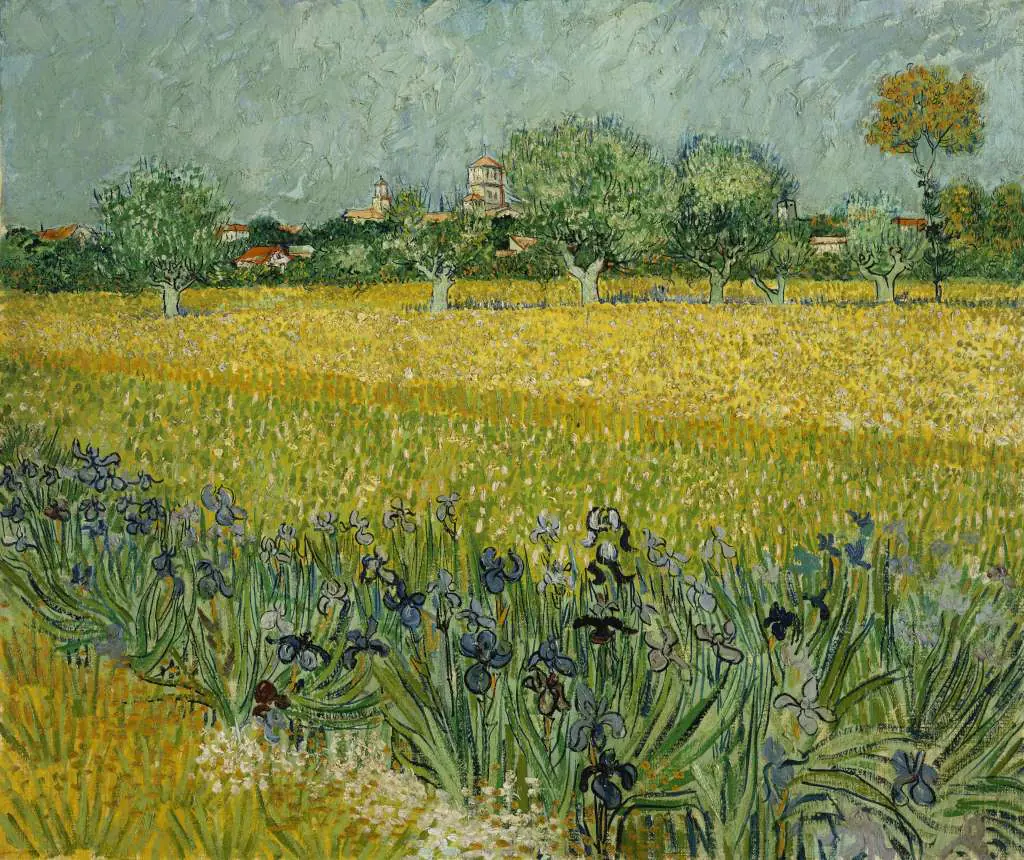 van Gogh: Field With Flowers Near Arles