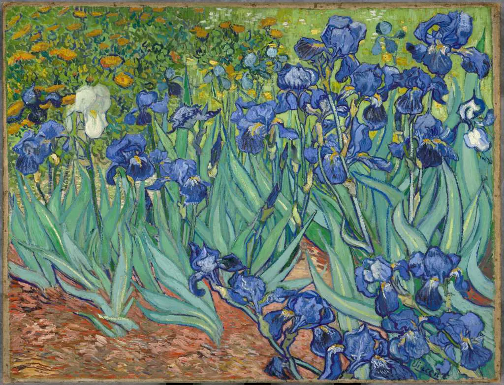 van Gogh: Irises-2