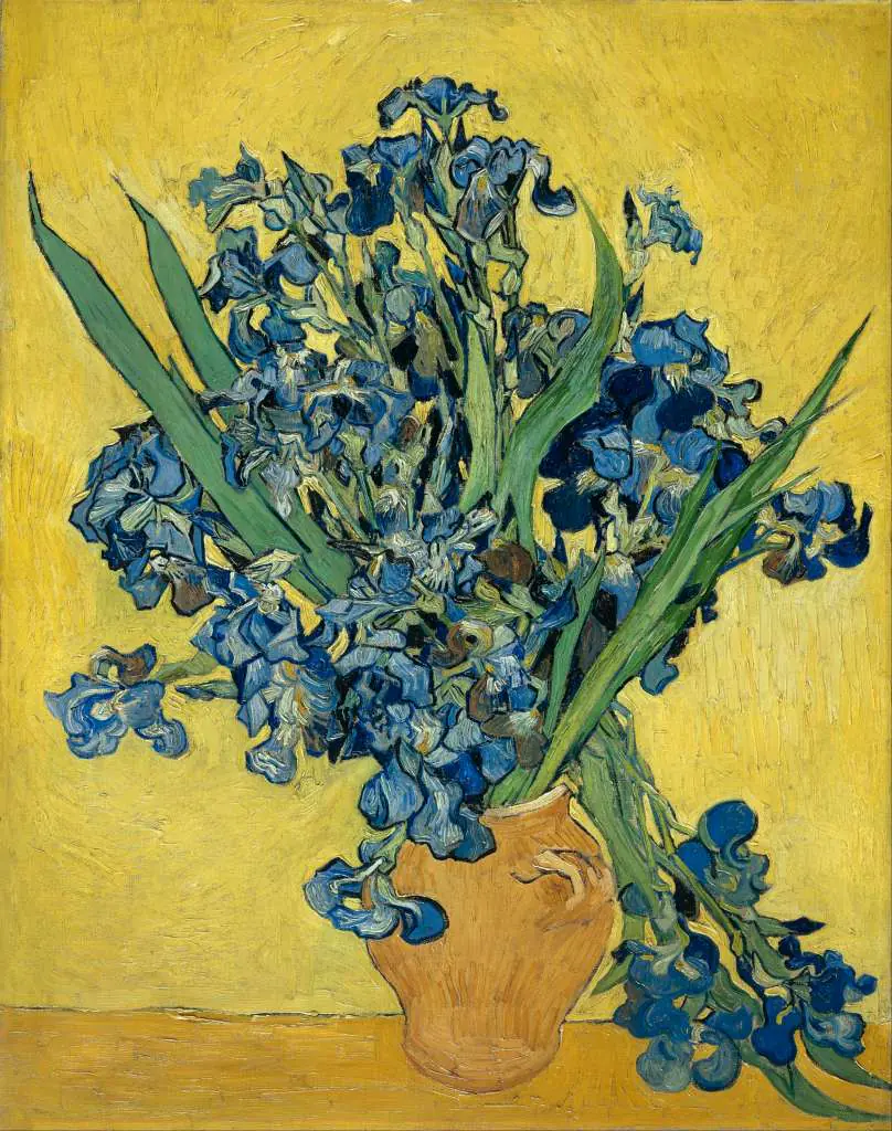 van Gogh: Irises