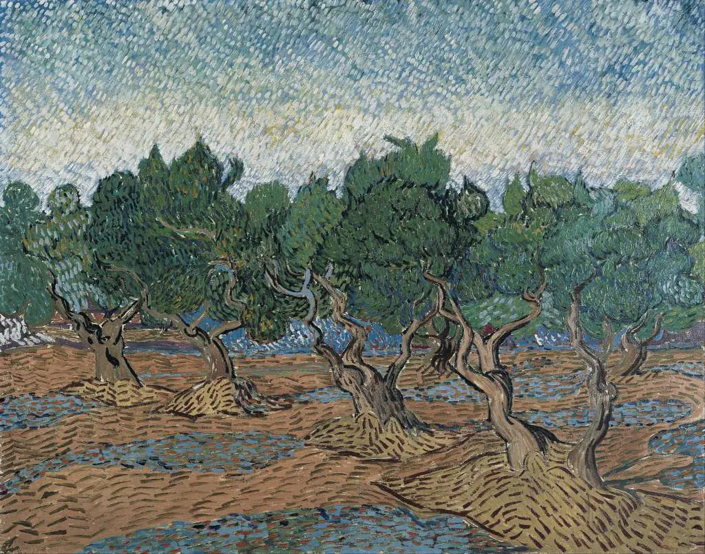 van Gogh: Olive Grove