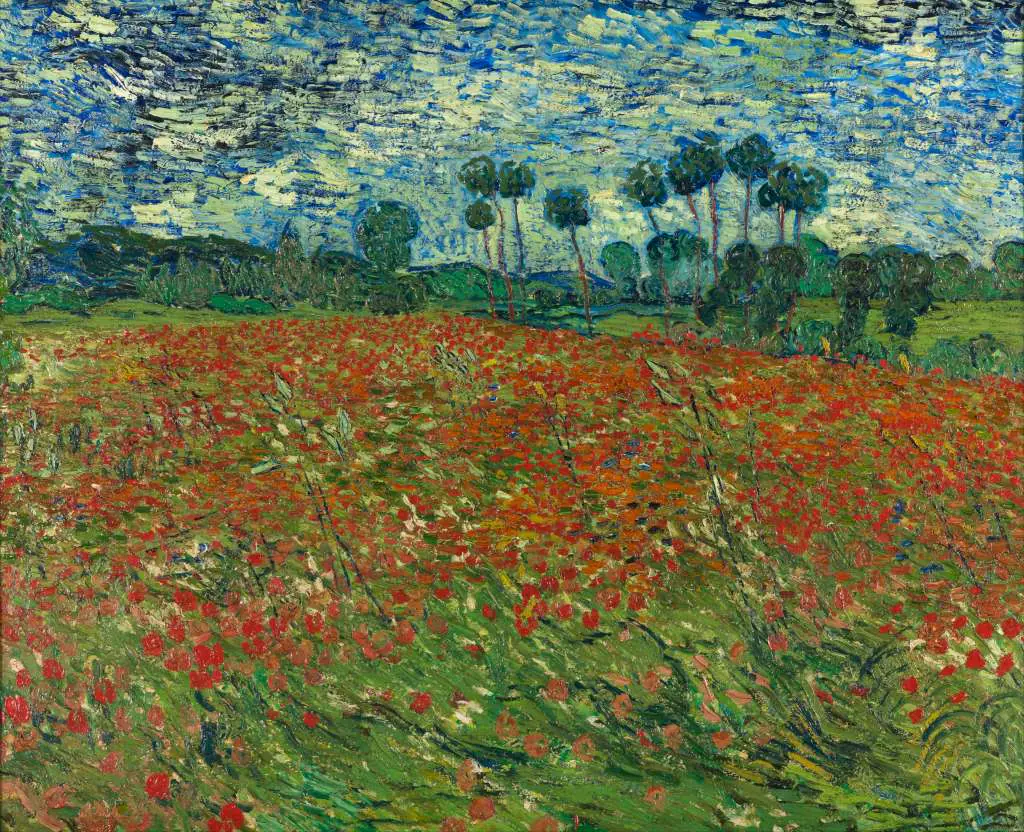van Gogh: Poppy Field