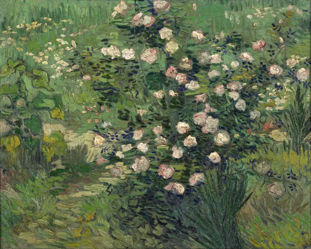 van Gogh: Roses