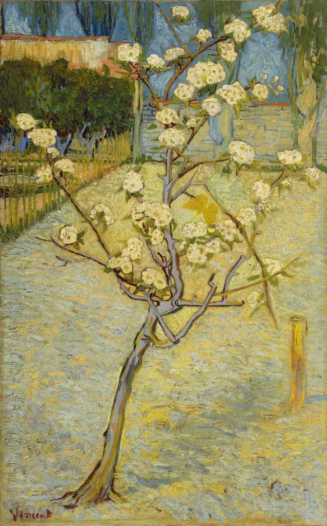 van Gogh: Small Pear Tree In Blossom