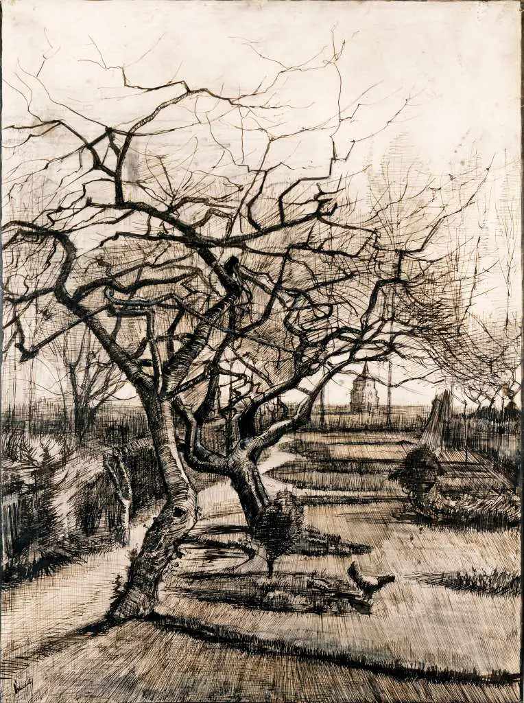 van Gogh: The Parsonage Garden At Nuenen In Winter