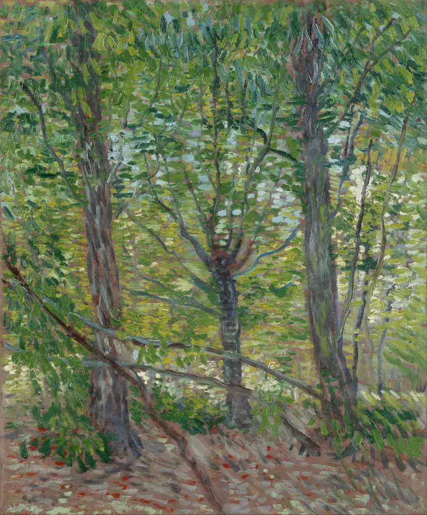 van Gogh: Trees