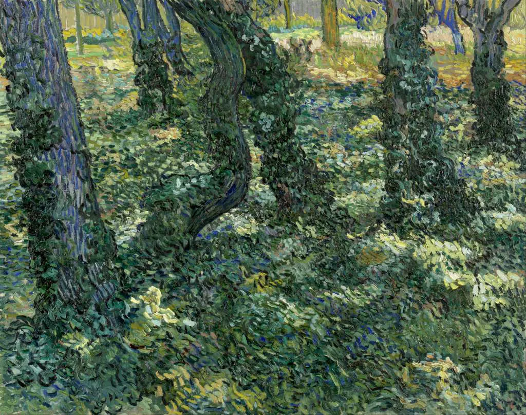 van Gogh: Undergrowth