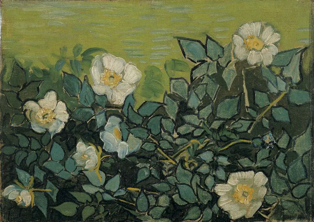 van Gogh: Wild Roses