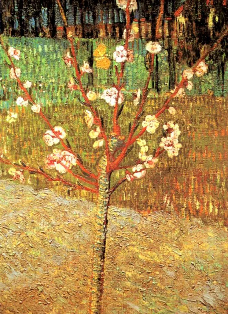 van Gogh Arles 1888-89: Almond Tree In Blossom