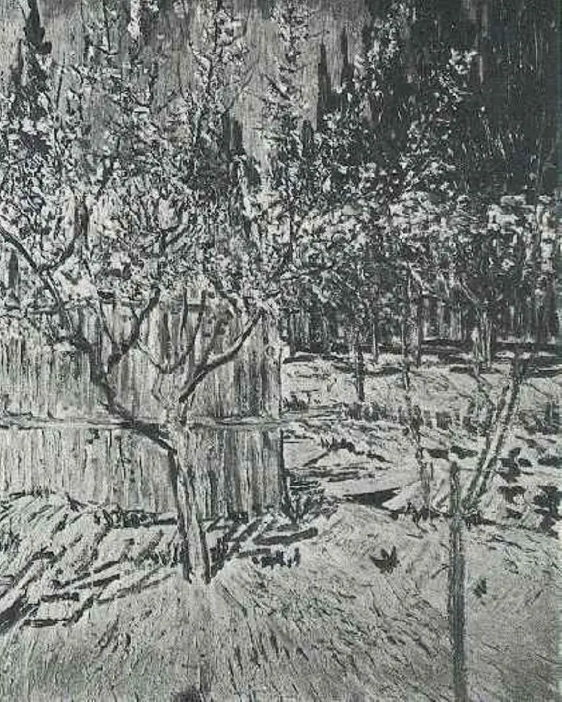 van Gogh Arles 1888-89: Apricot Trees In Blossom