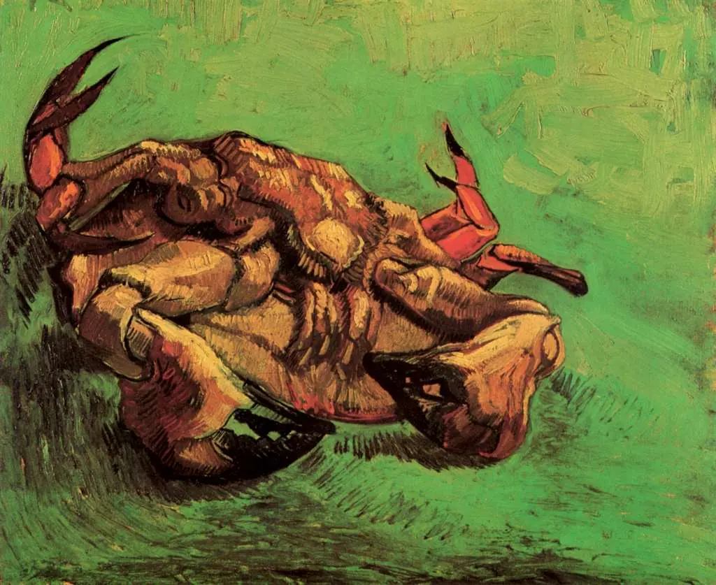 van Gogh Arles 1888-89: Crab On Its Back