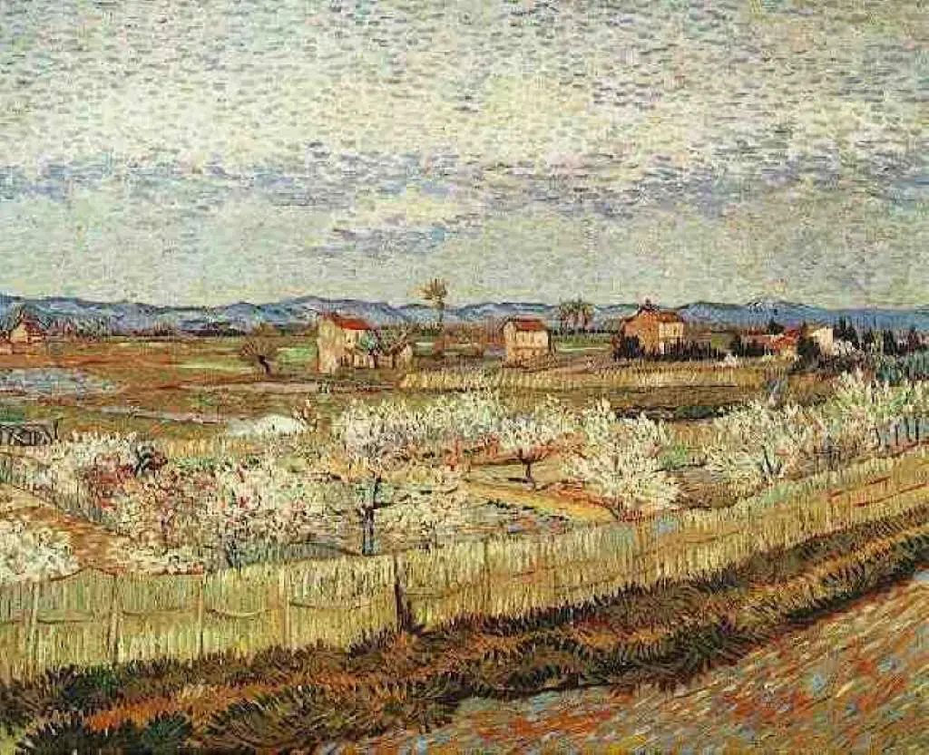 van Gogh Arles 1888-89: La Crau With Peach Trees In Blossom