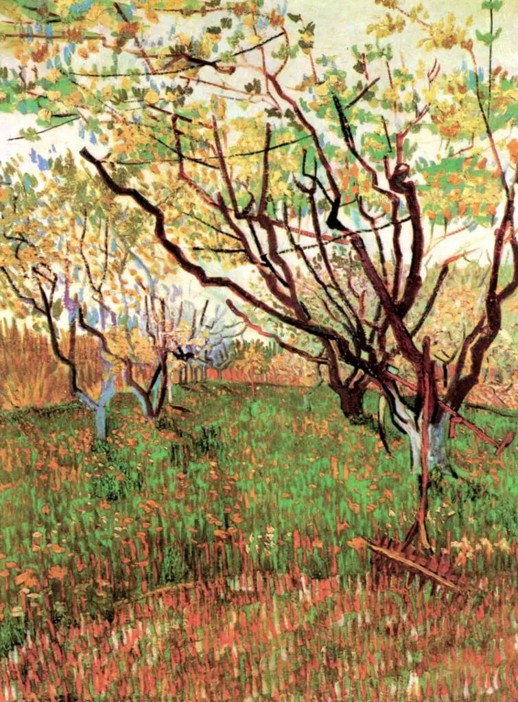 van Gogh Arles 1888-89: Orchard In Blossom