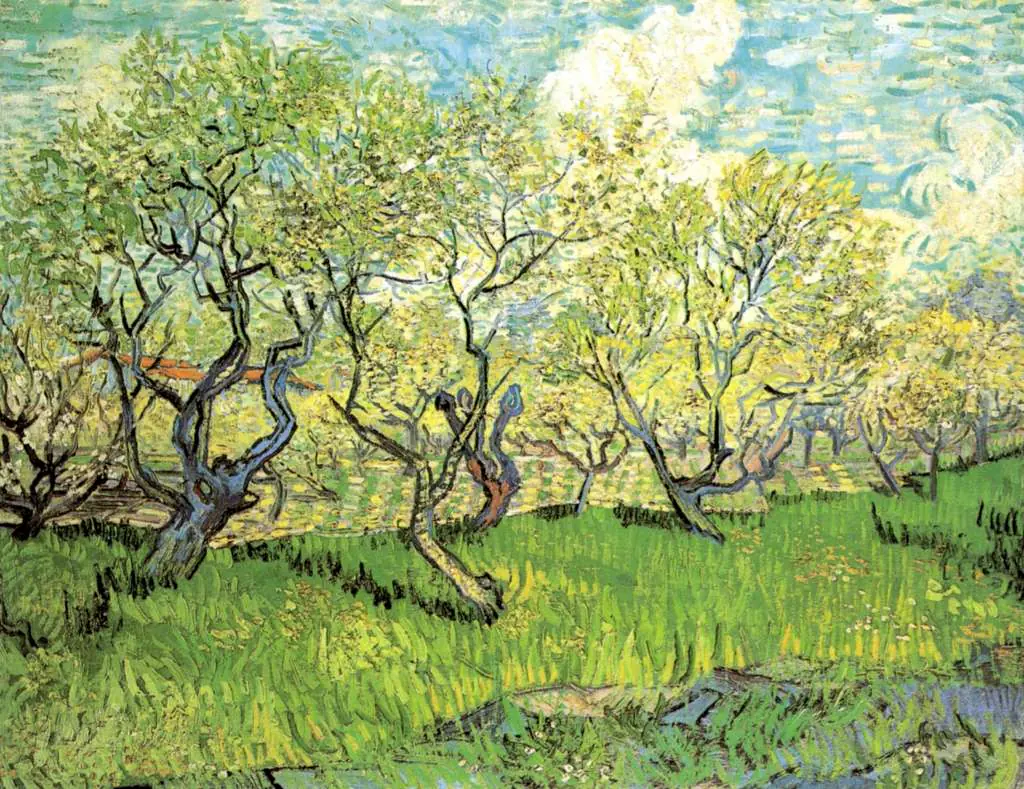 van Gogh Arles 1888-89: Orchard In Blossom2