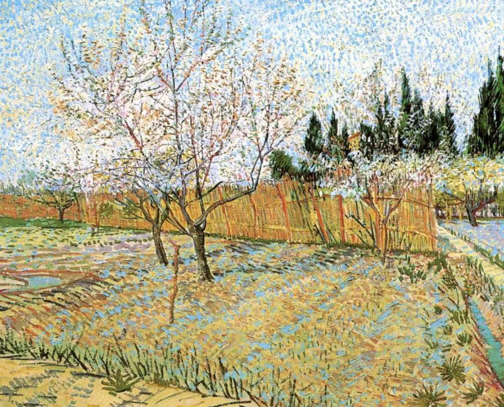 van Gogh Arles 1888-89: Orchard With Peach Trees In Blossom