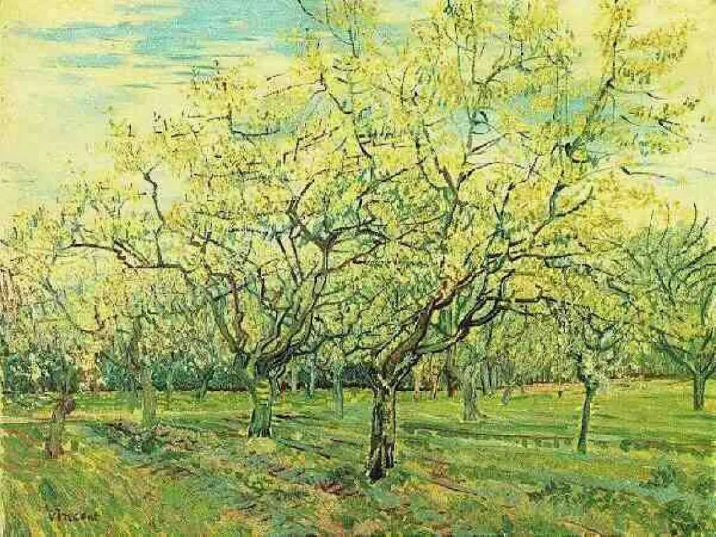 van Gogh Arles 1888-89: The White Orchard