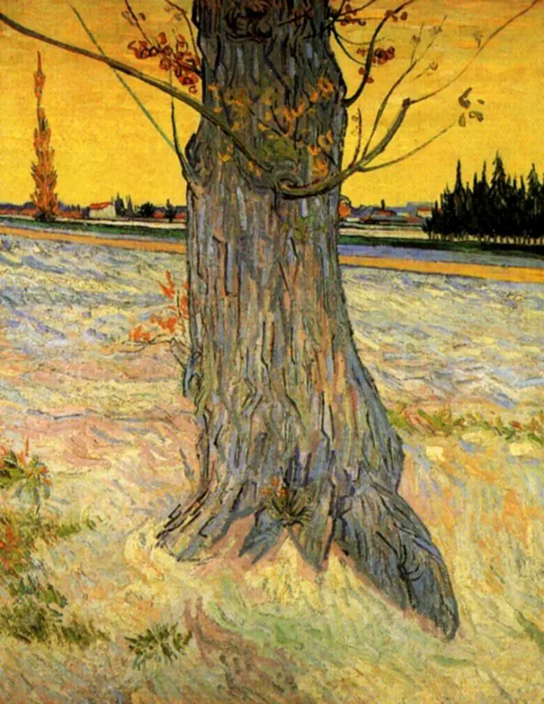 van Gogh Arles 1888-89: Trunk Of An Old Yew Tree