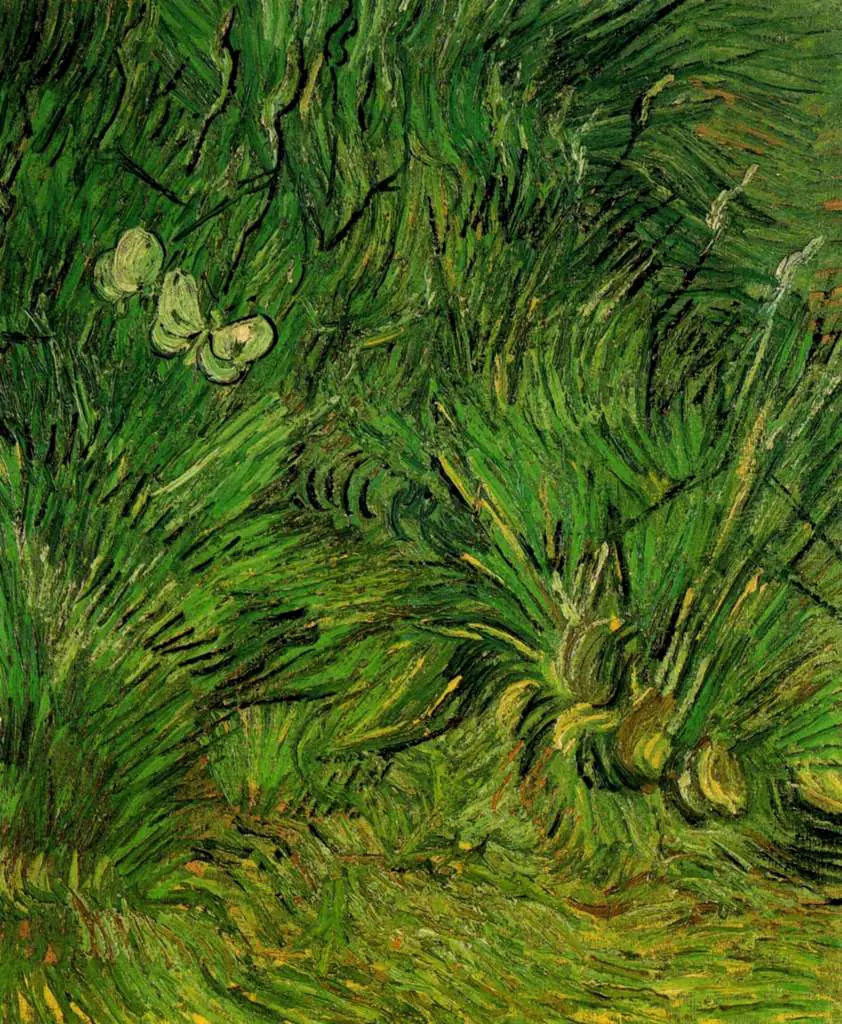 van Gogh Arles 1888-89: Two White Butterflies