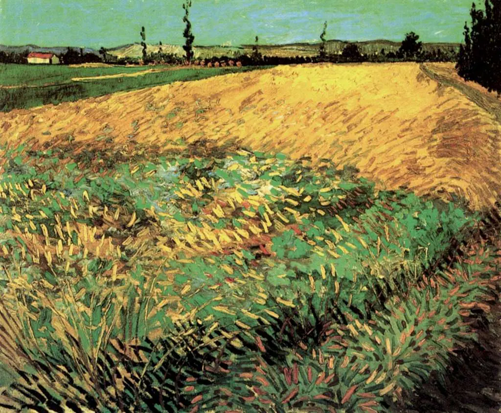 van Gogh Arles 1888-89: Wheat Field With The Alpilles Foothills In The Background