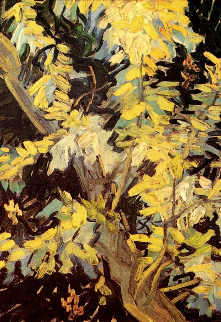 van Gogh Auvers sur Oise 1890: Blossoming Acacia Branches