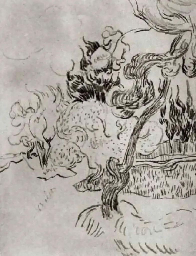 van Gogh Drawings: A Pine Tree And Cypresses In The Garden Of The Asylum