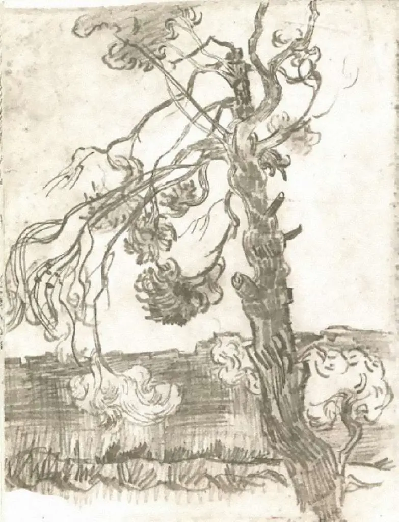 van Gogh Drawings: A Weather-beaten Pine Tree