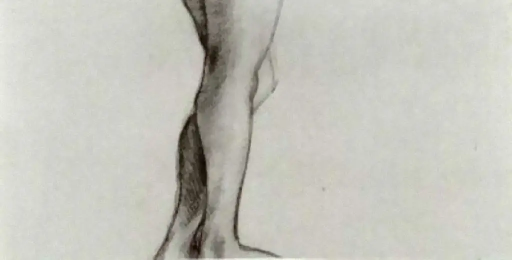 van Gogh Drawings: A Womans Legs