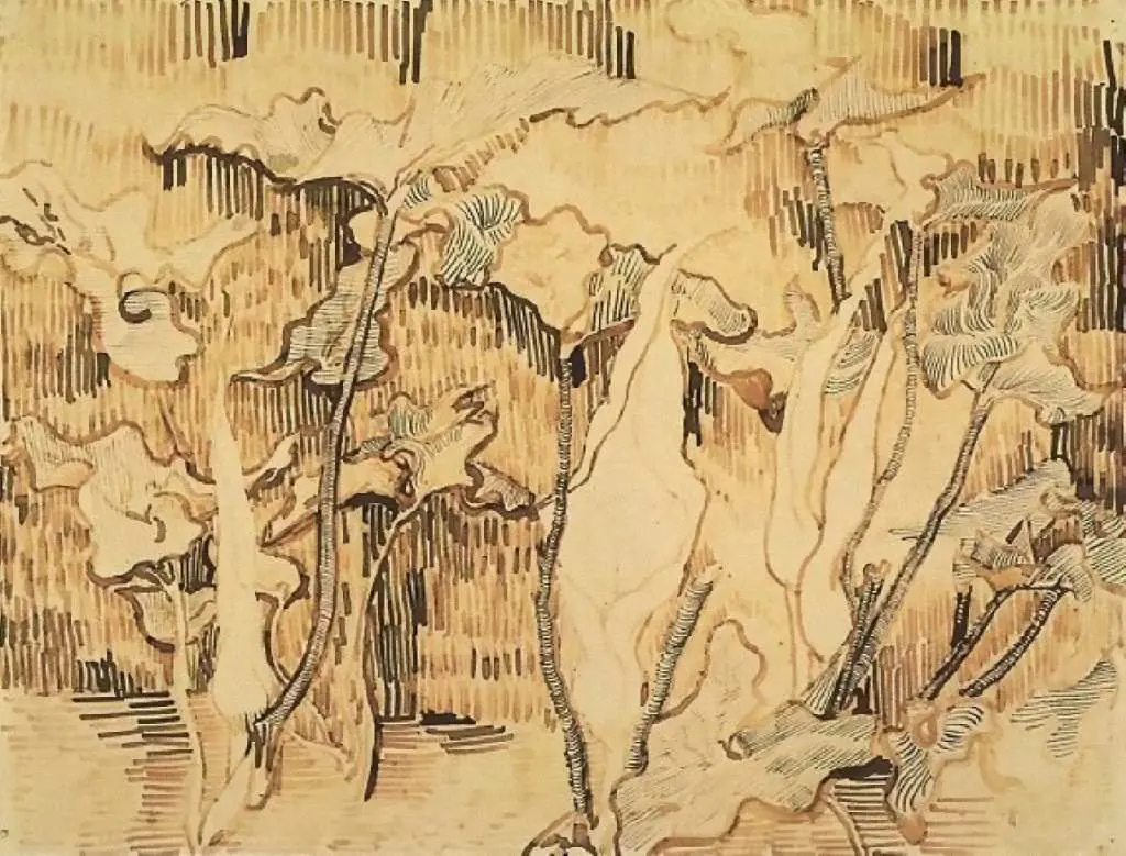 van Gogh Drawings: Arums