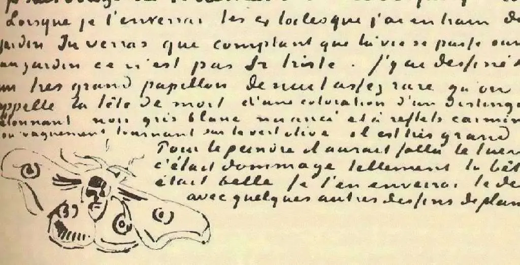 van Gogh Drawings: Deaths-head Moth