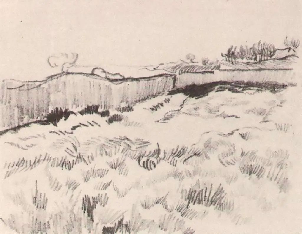 van Gogh Drawings: Enclosed Field3