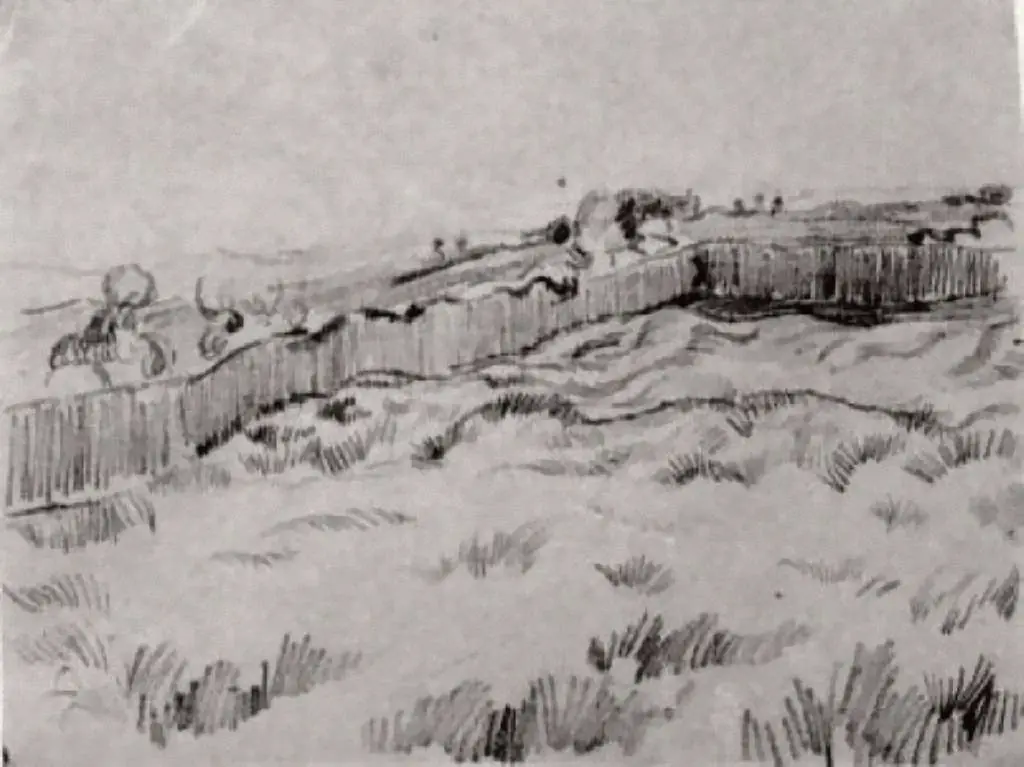 van Gogh Drawings: Enclosed Field5