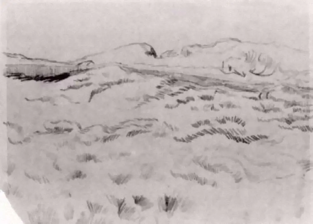 van Gogh Drawings: Enclosed Field6