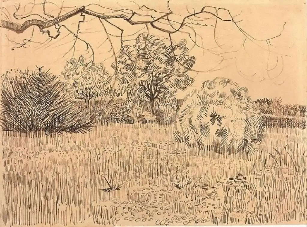 van Gogh Drawings: Field Of Grass With A Round Clipped Shrub