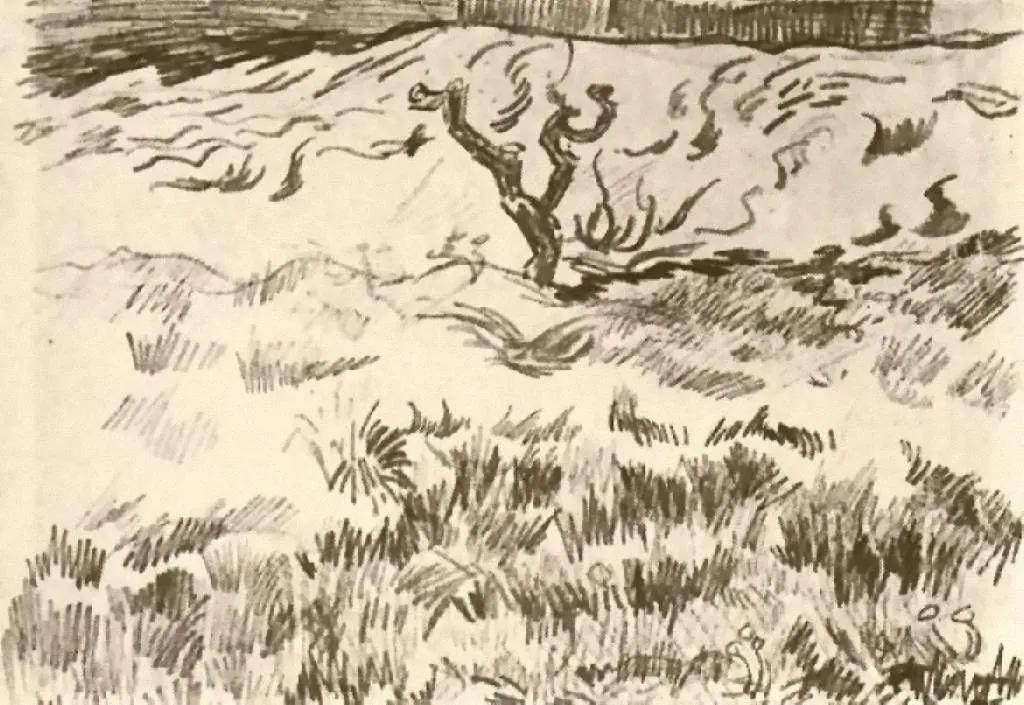 van Gogh Drawings: Field With Bare Tree