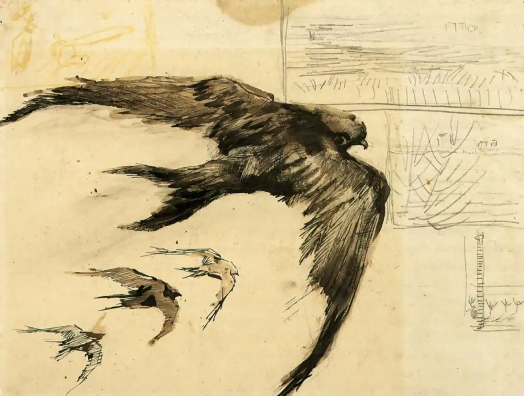 van Gogh Drawings: Four Swifts With Landscape Sketches
