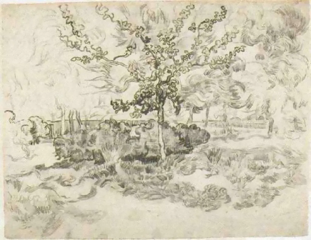 van Gogh Drawings: Garden Of The Asylum