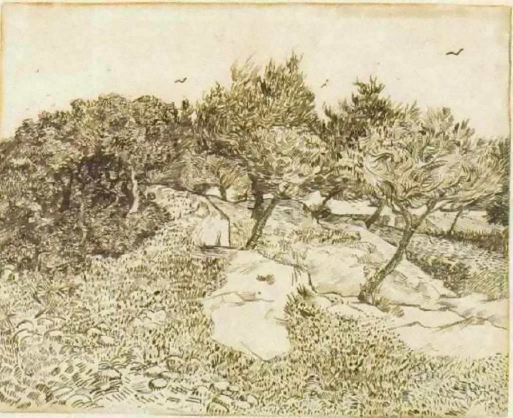 van Gogh Drawings: Olive Trees Montmajour