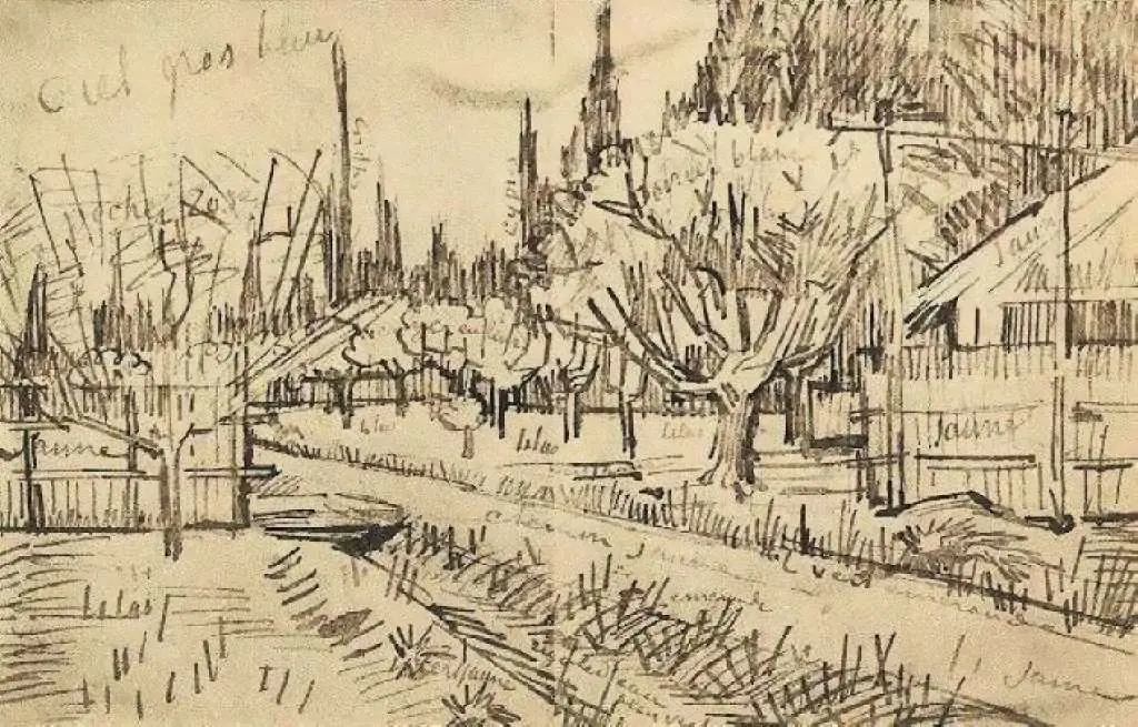 van Gogh Drawings: Orchard Surrounded By Cypresses