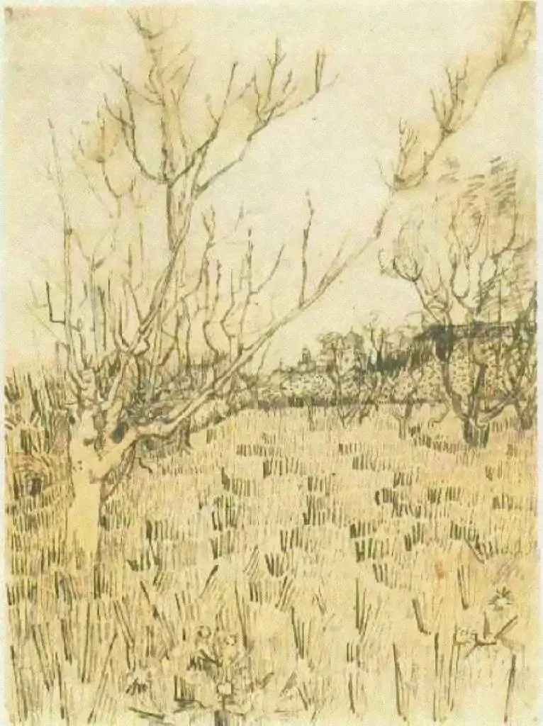 van Gogh Drawings: Orchard With Arles In The Background