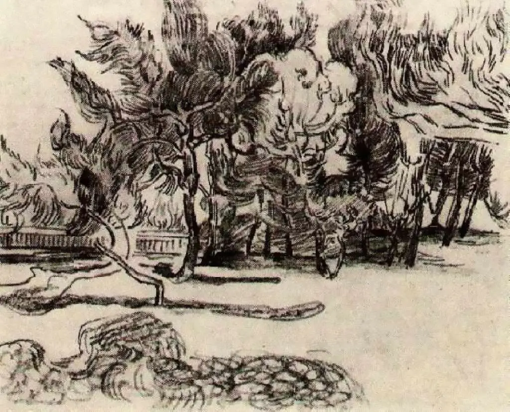 van Gogh Drawings: Pine Trees Near The Wall Of The Asylum2