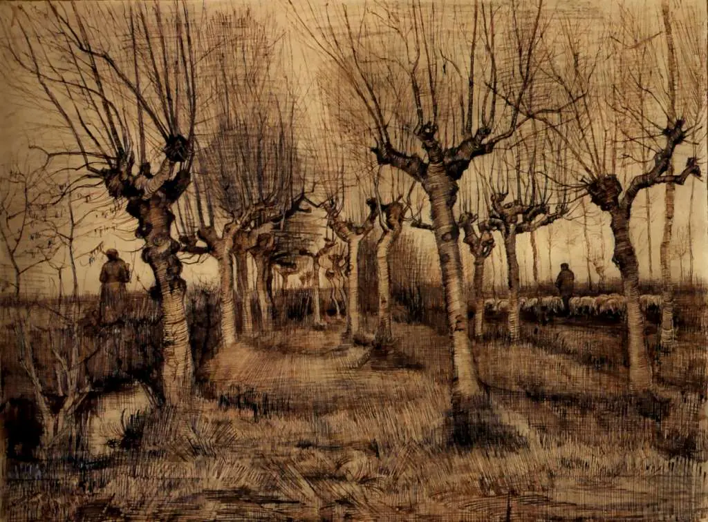 van Gogh Drawings: Pollard Birches